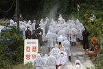 Quarantine officials arrive to slaughter infected pigs at a farm in Paju, Oct. 2.