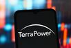 In this photo illustration, the TerraPower logo is seen