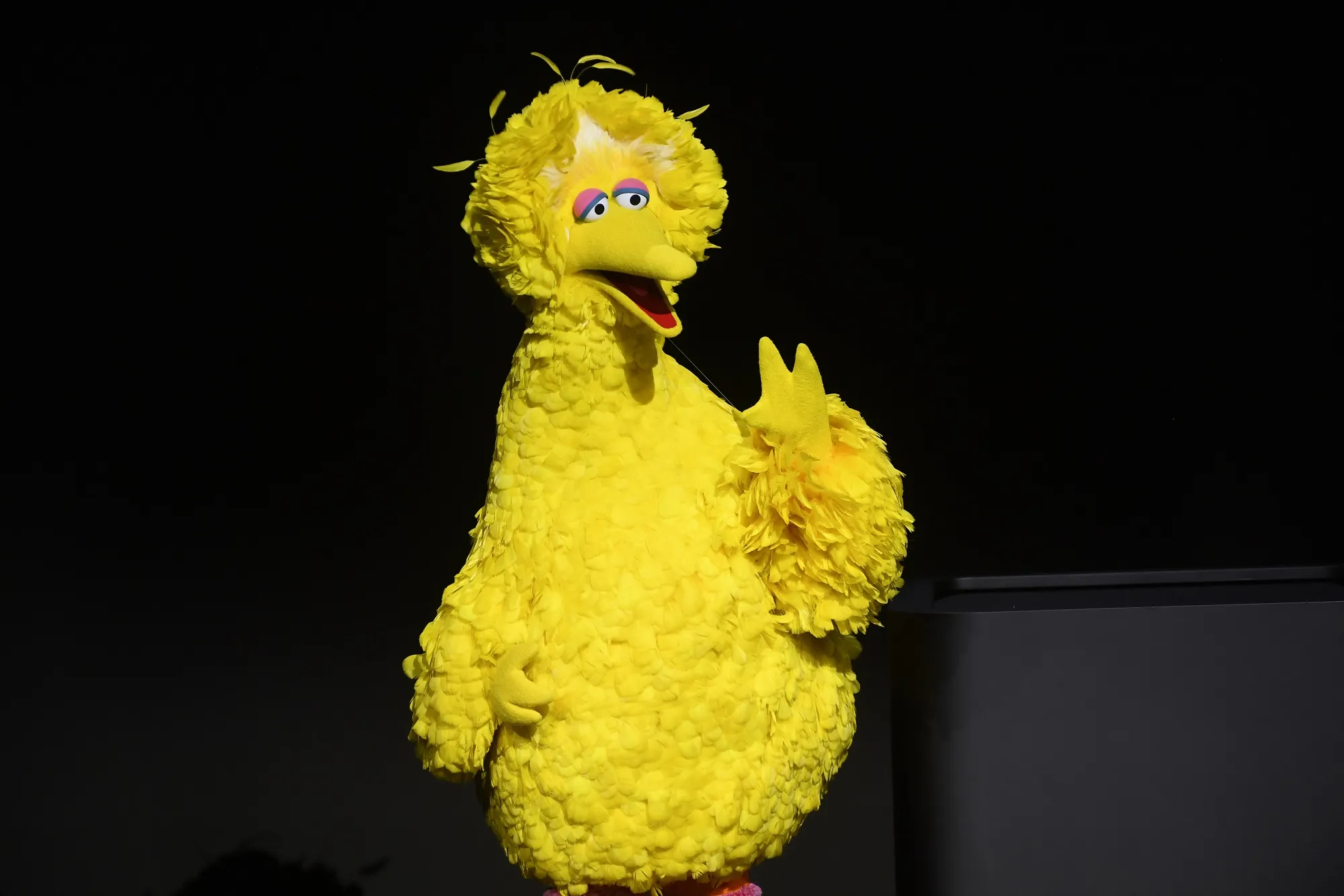 Big Bird and his Sesame Street friends are heading to Netflix.