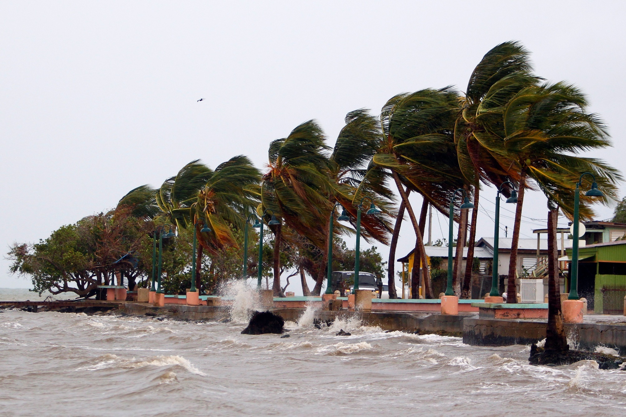 Puerto Rico Moves to Limit Coastal Damage From Hurricanes and Other Threats