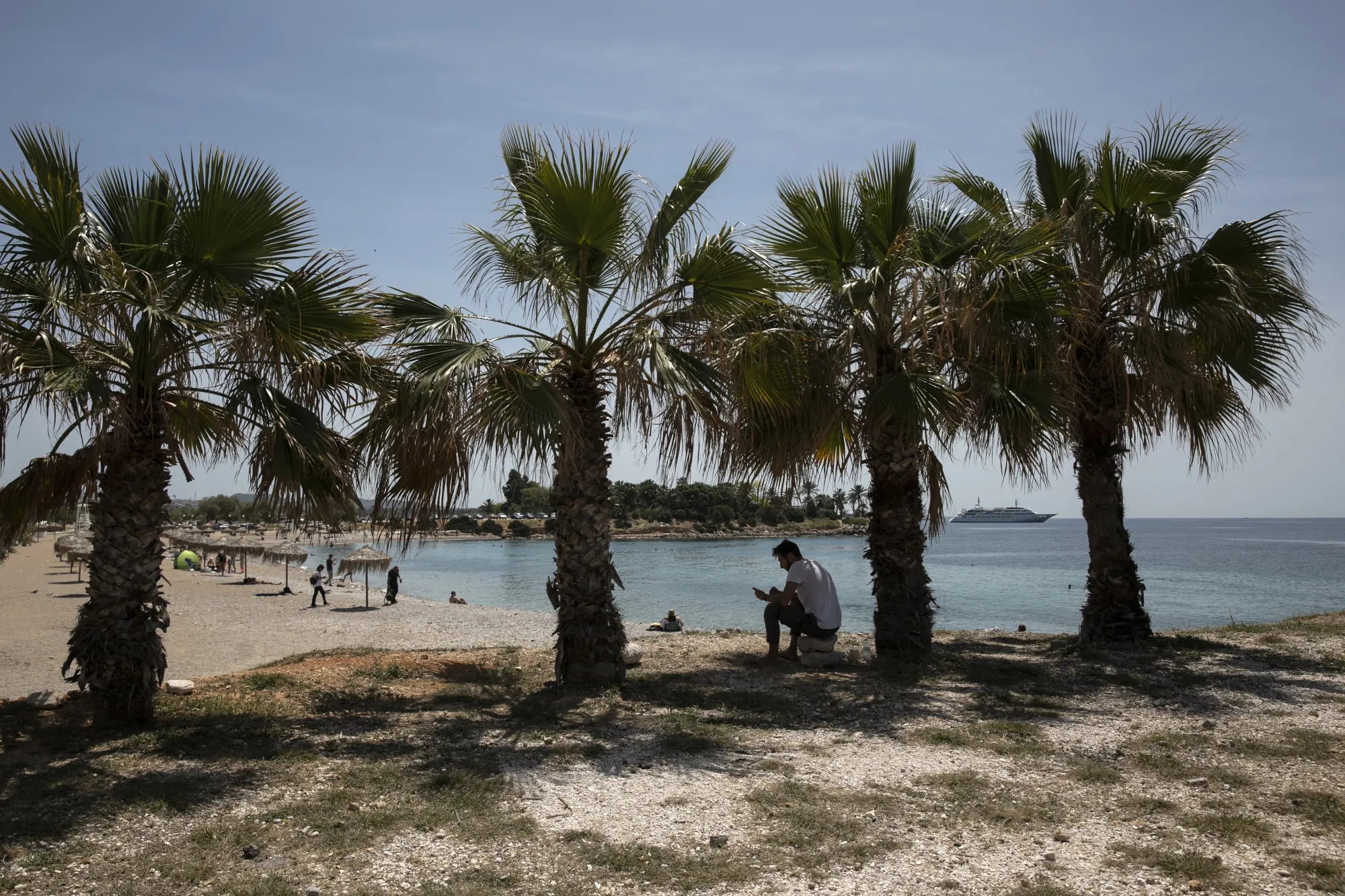 A man sits beneath palm trees on a beach in Glyfada suburb, south of Athens.