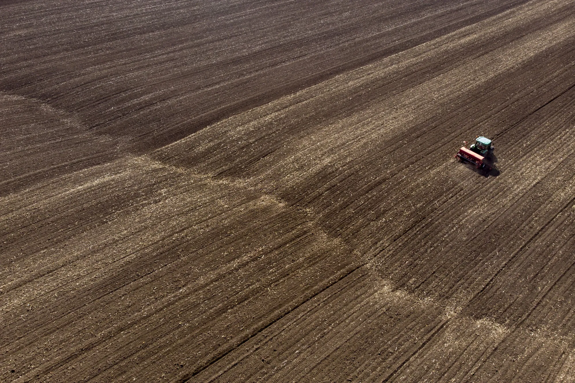 Tractor Sowing Seed In A Field