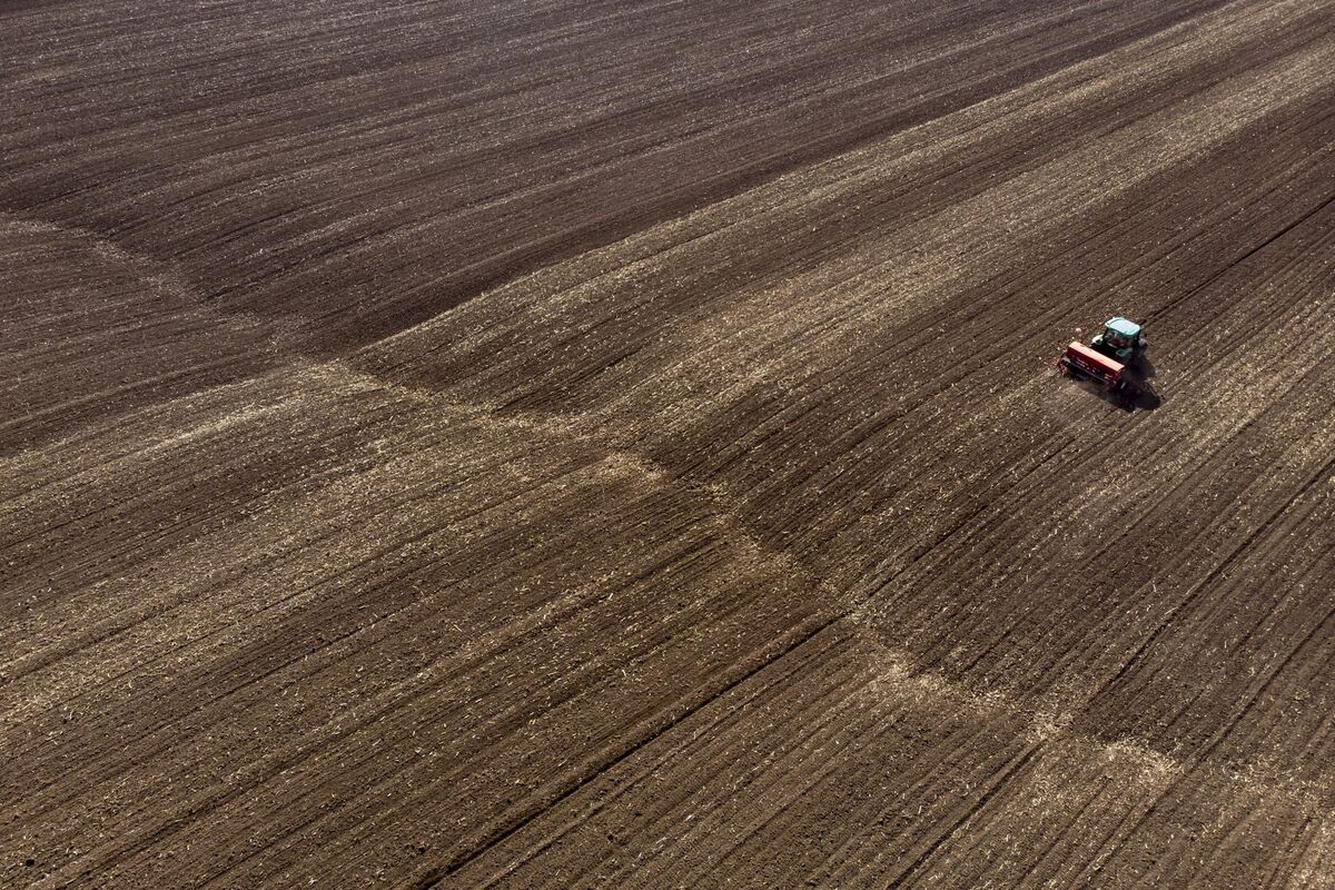 Ukraine Farmers Urged to Sow Crops But Fear for Workers’ Lives - Bloomberg