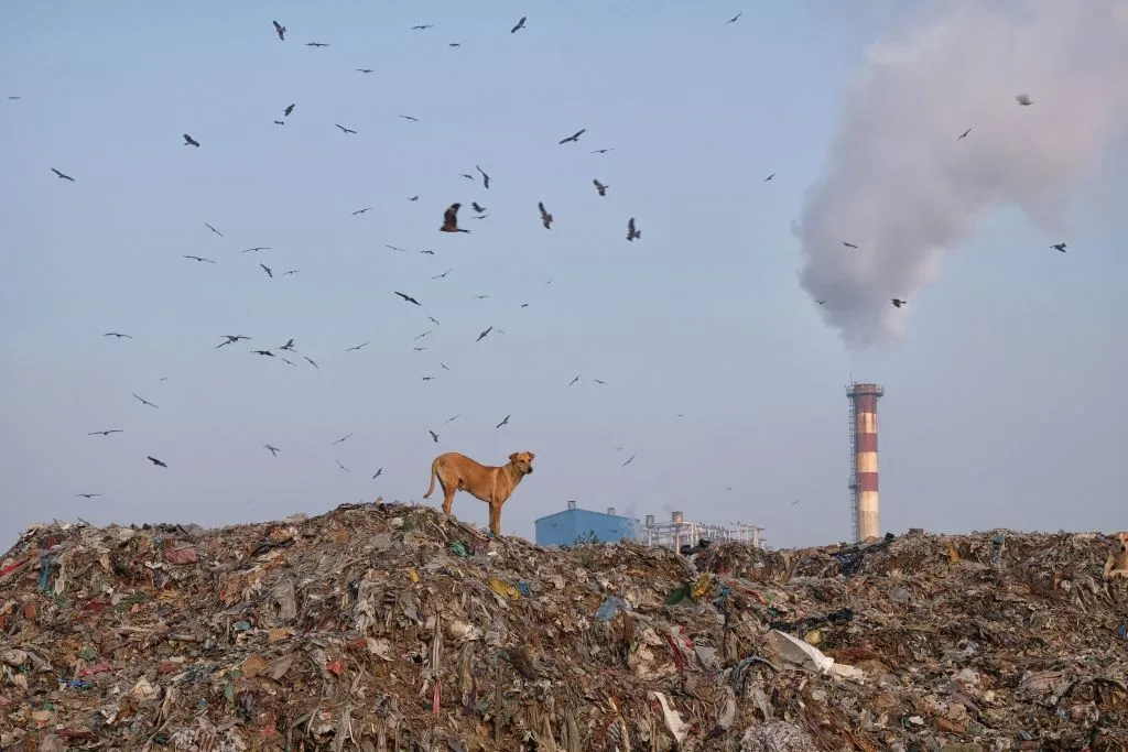 Humanity’s legacy? Nuclear fallout, plastic, extinctions.