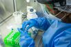 Covid-19 Testing As South African Mutation Causes Global Vaccine Worry