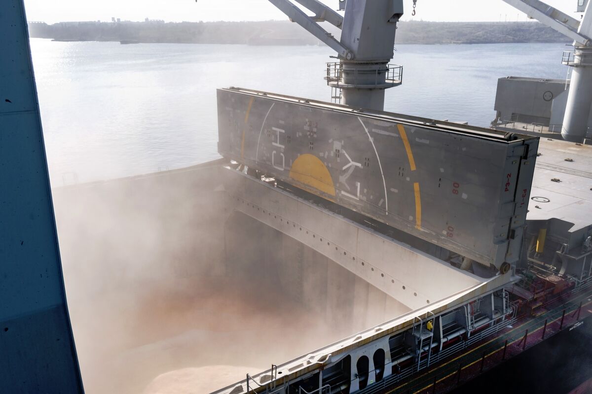 bloomberg.com - Jack Wittels - Cargill Shipping Boss Says Low Oil Makes It Harder to Cut Carbon