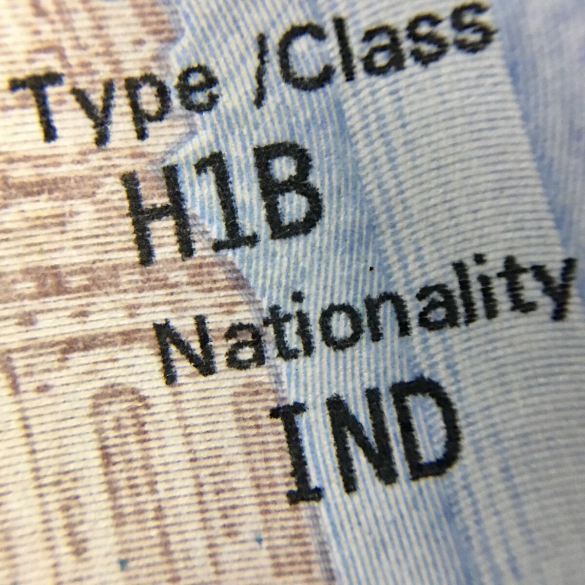 Indian Workers Face H-1B Crisis as Trump Unveils $100,000 Visa Fee