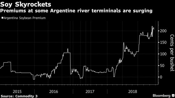 Trump Trade War Is Dividing Farming World as China Demand Shifts