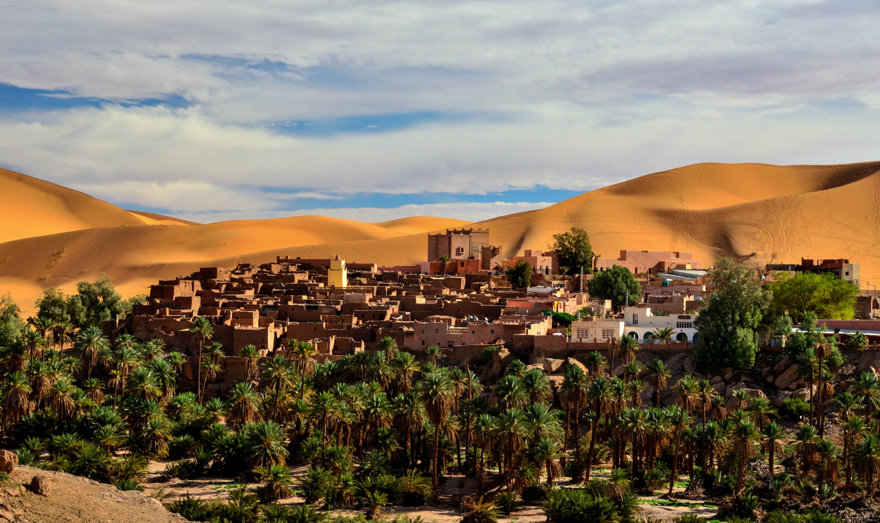 Sandstone buildings and tall palm trees form a desert oaisis in Taghit.