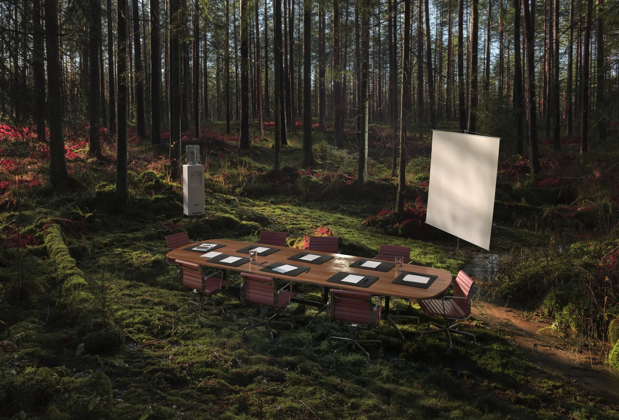 Conference room in the forest