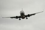 A Boeing Co. 737-800 aircraft.