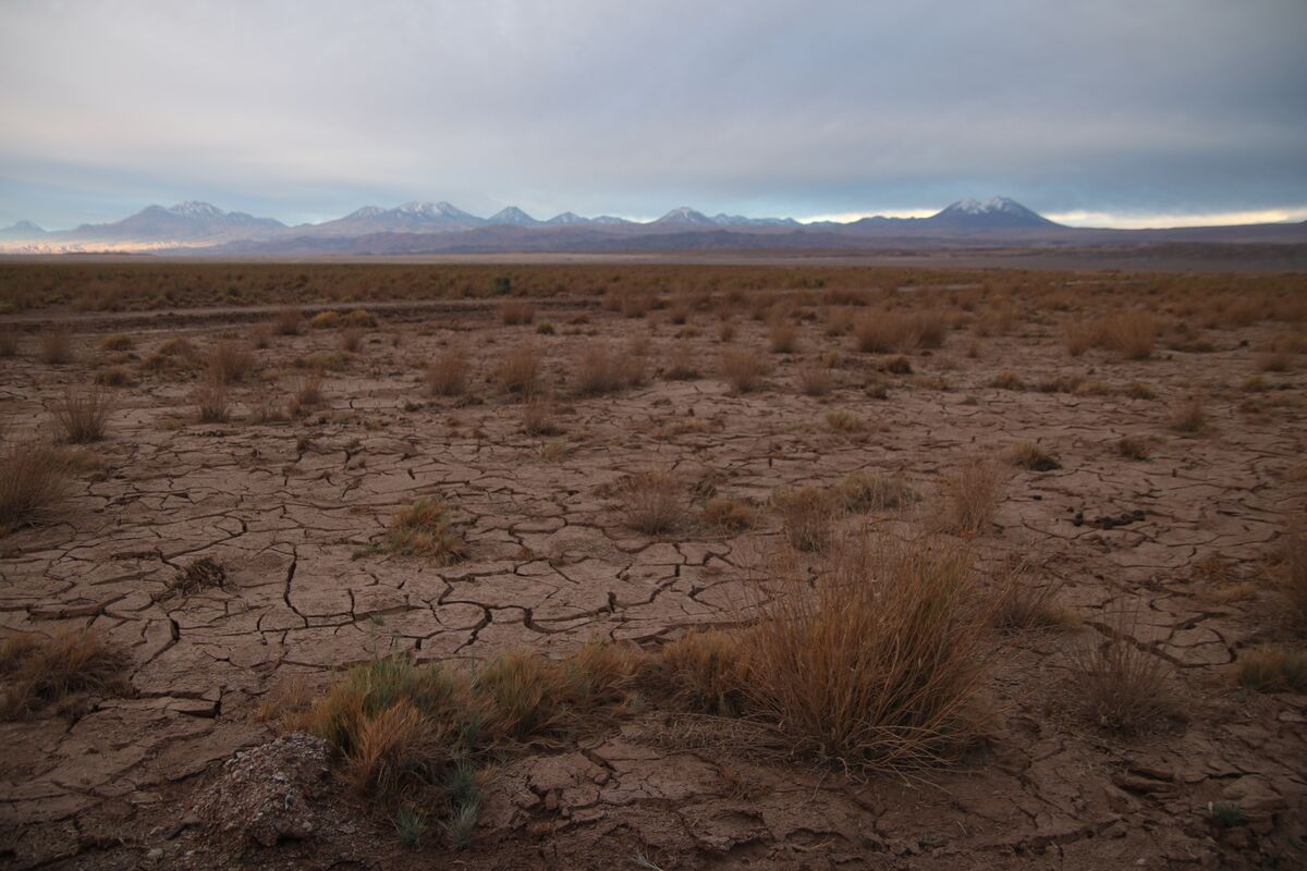 World's Driest Desert Floods As Extreme Weather Conditions Mount ...