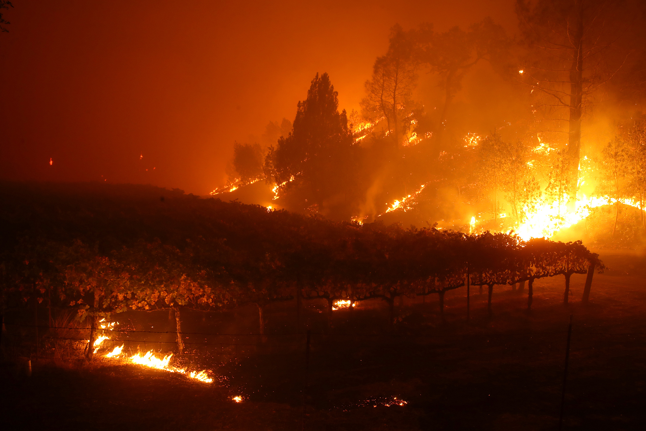 The Kincade Fire burns near a vineyard in Geyserville, California.