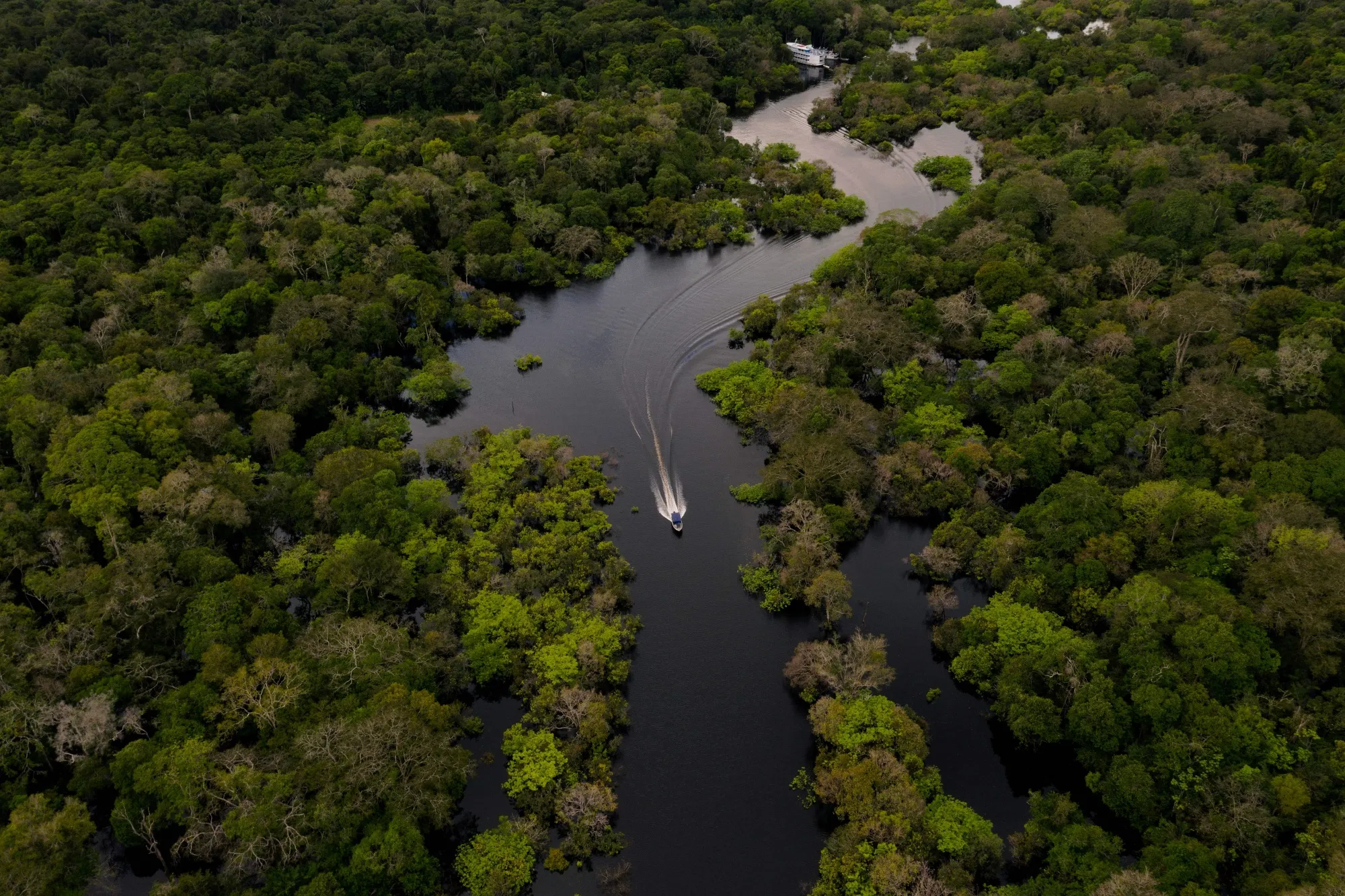 Aerial view showing a boat speeding on the Jurua River in the municipality of Carauari, in the heart of the Brazilian Amazon.