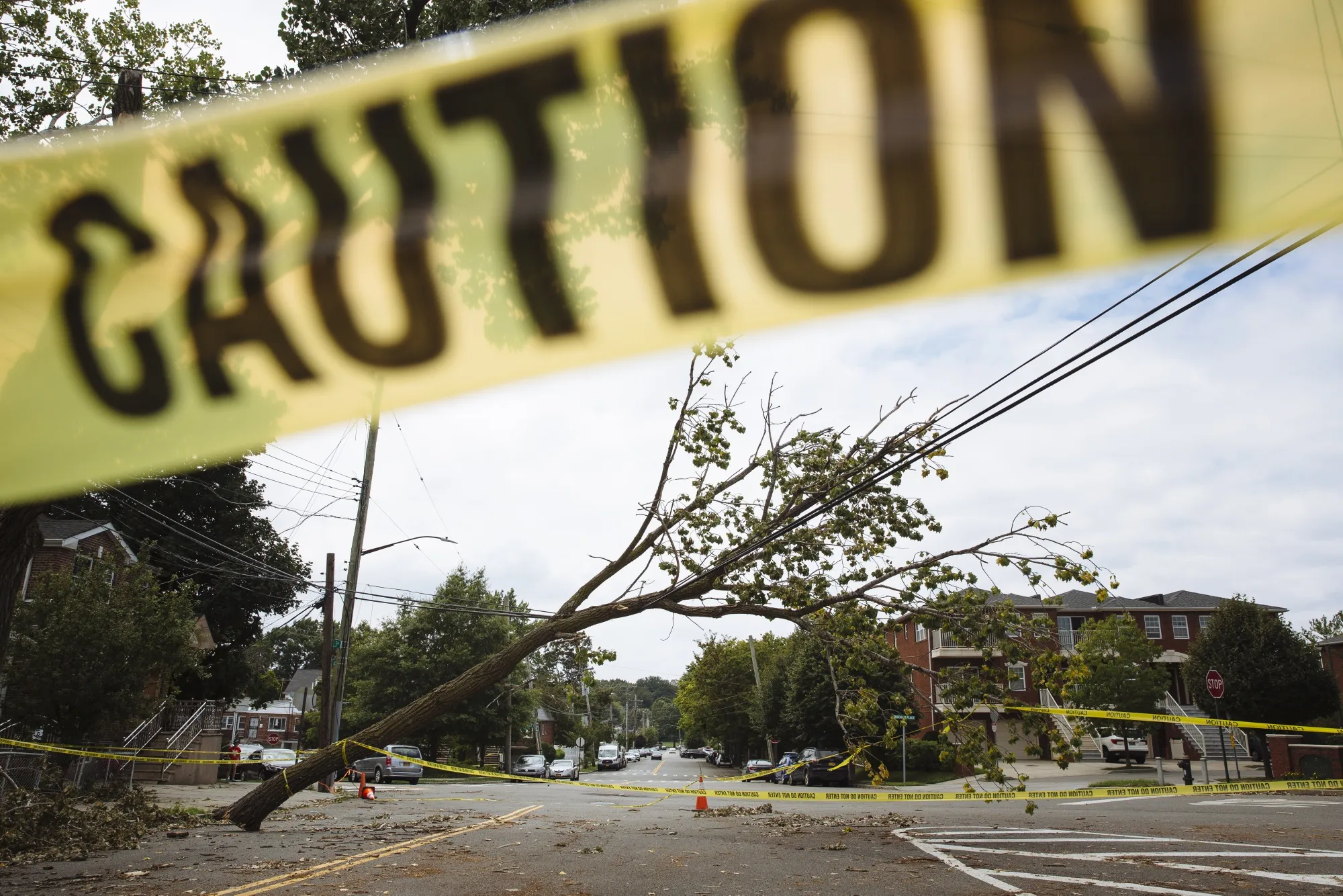 A fallen tree rests on a power line in the College Point, Queens, New York&nbsp;after Tropical Storm Isaias battered the region in 2020.