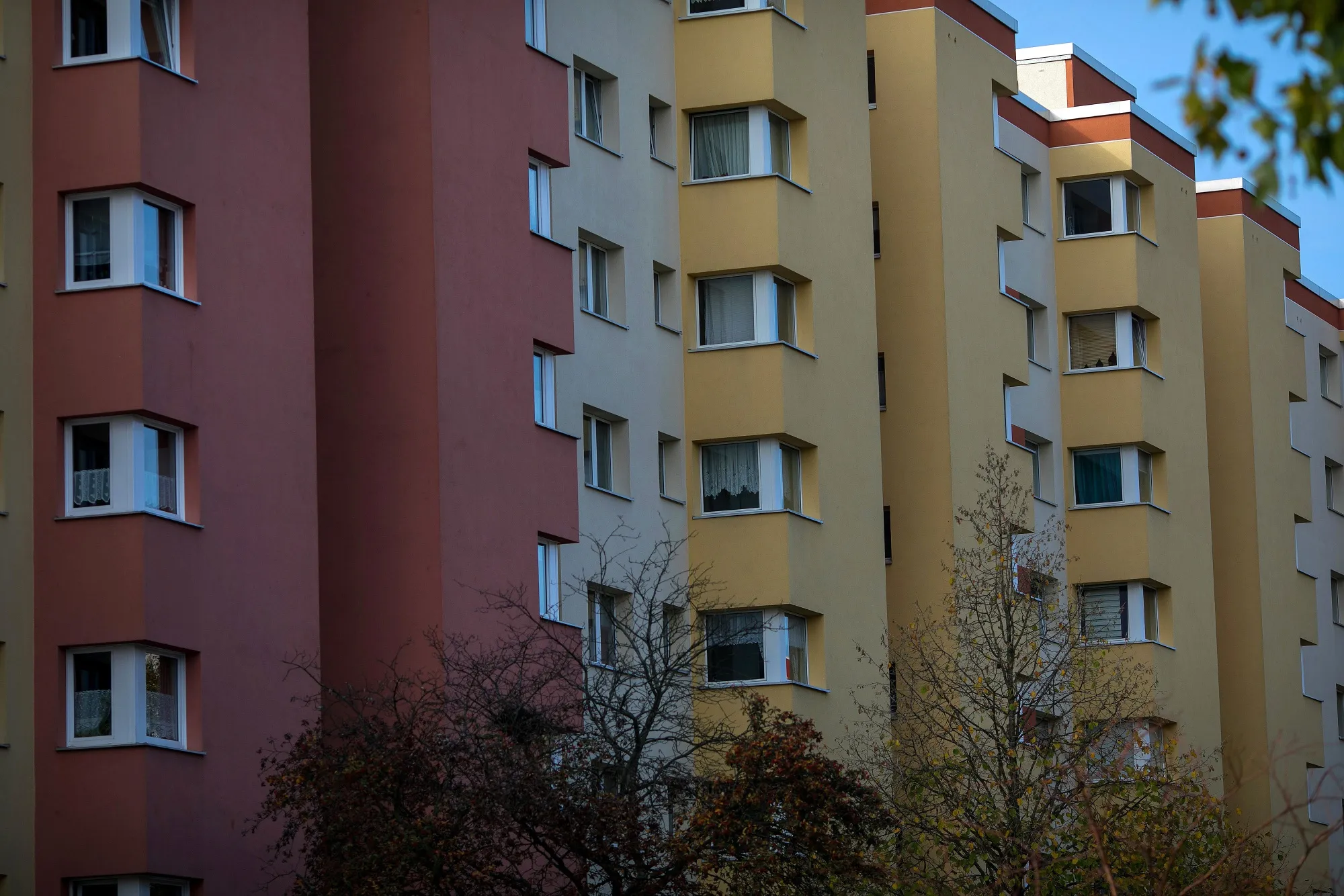 Rentals of apartments built before 2014 dropped 59%.