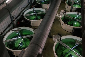 Salmon Farms on Land Take Aim at a $19 Billion Industry