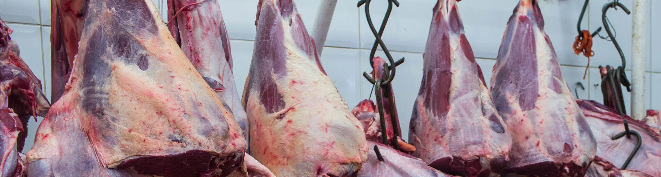 1490083269_brazil meat large lede