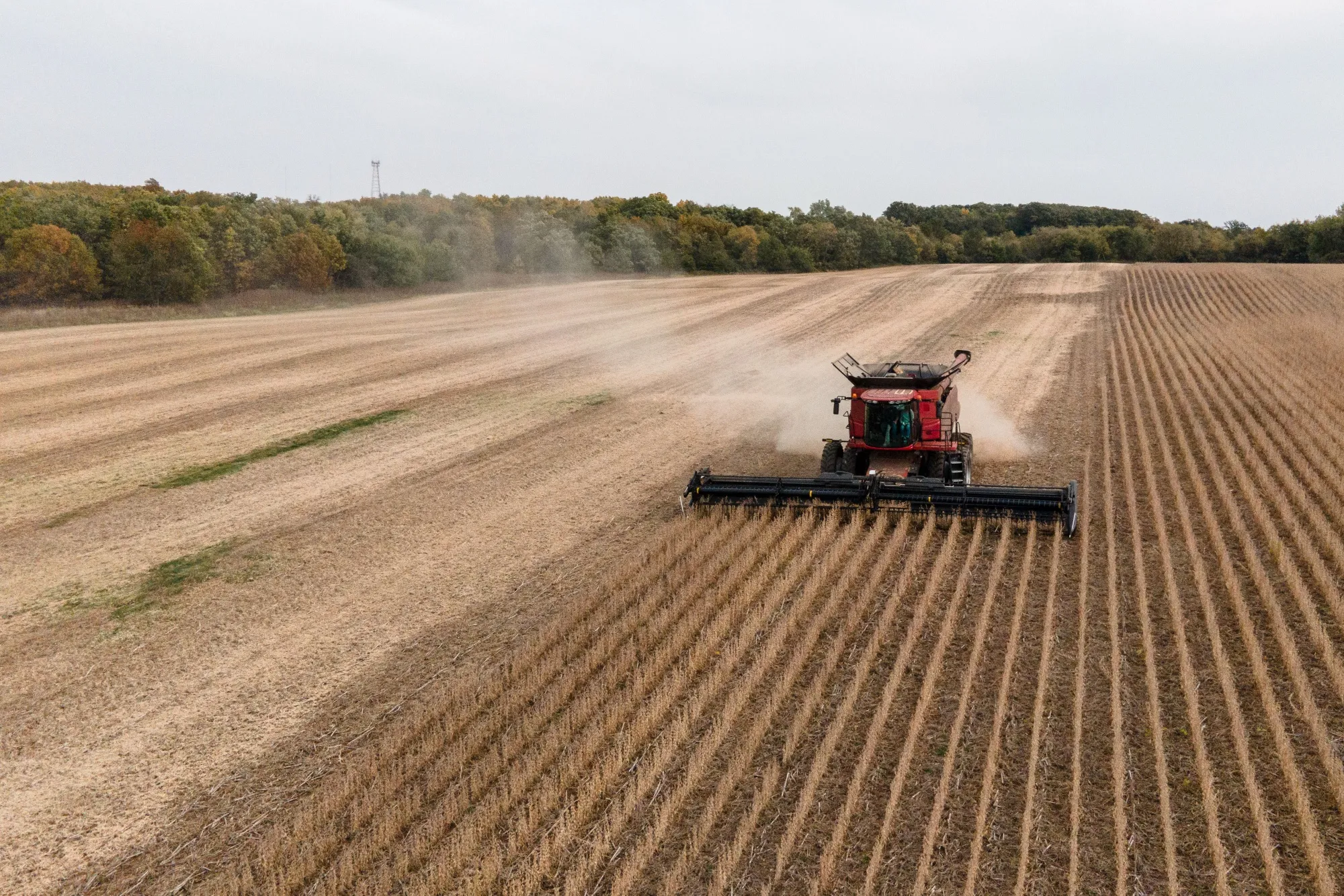 A combine harvester during a soybean harvest at a farm in Harvard, Illinois.