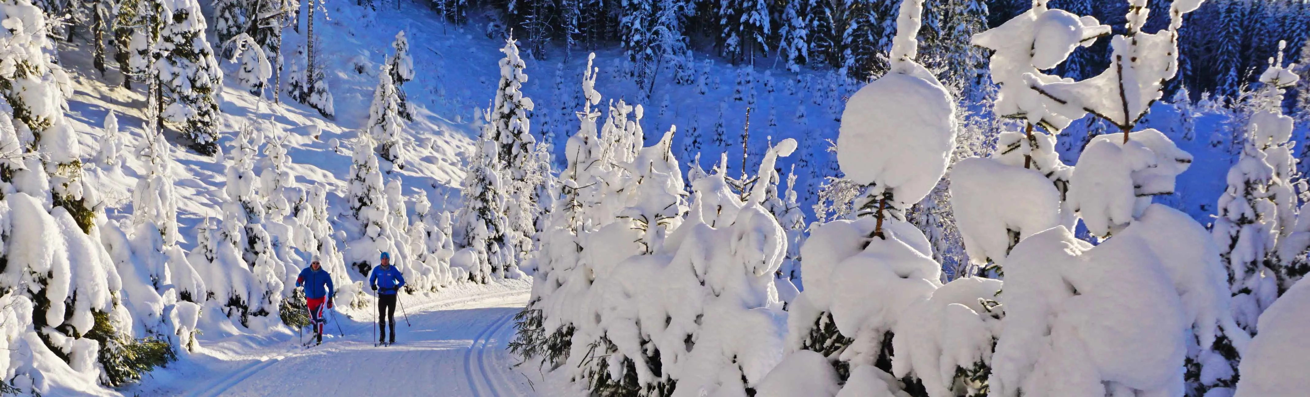 1517948796_skiing-trips-lede