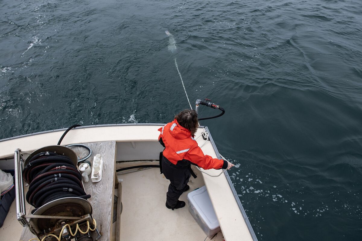 Trump Scraps Ocean Sensors Providing Crucial Data on Climate, Flooding