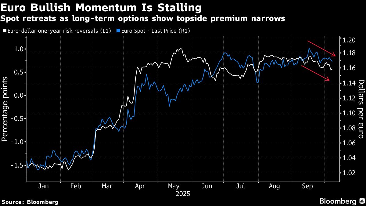 Euro’s Bullish Momentum Shows Cracks as French Risks Resurface