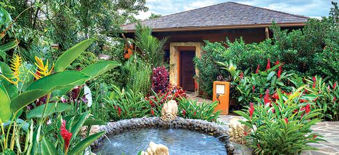 A jungle villa with a plunge pool in Costa Rica.