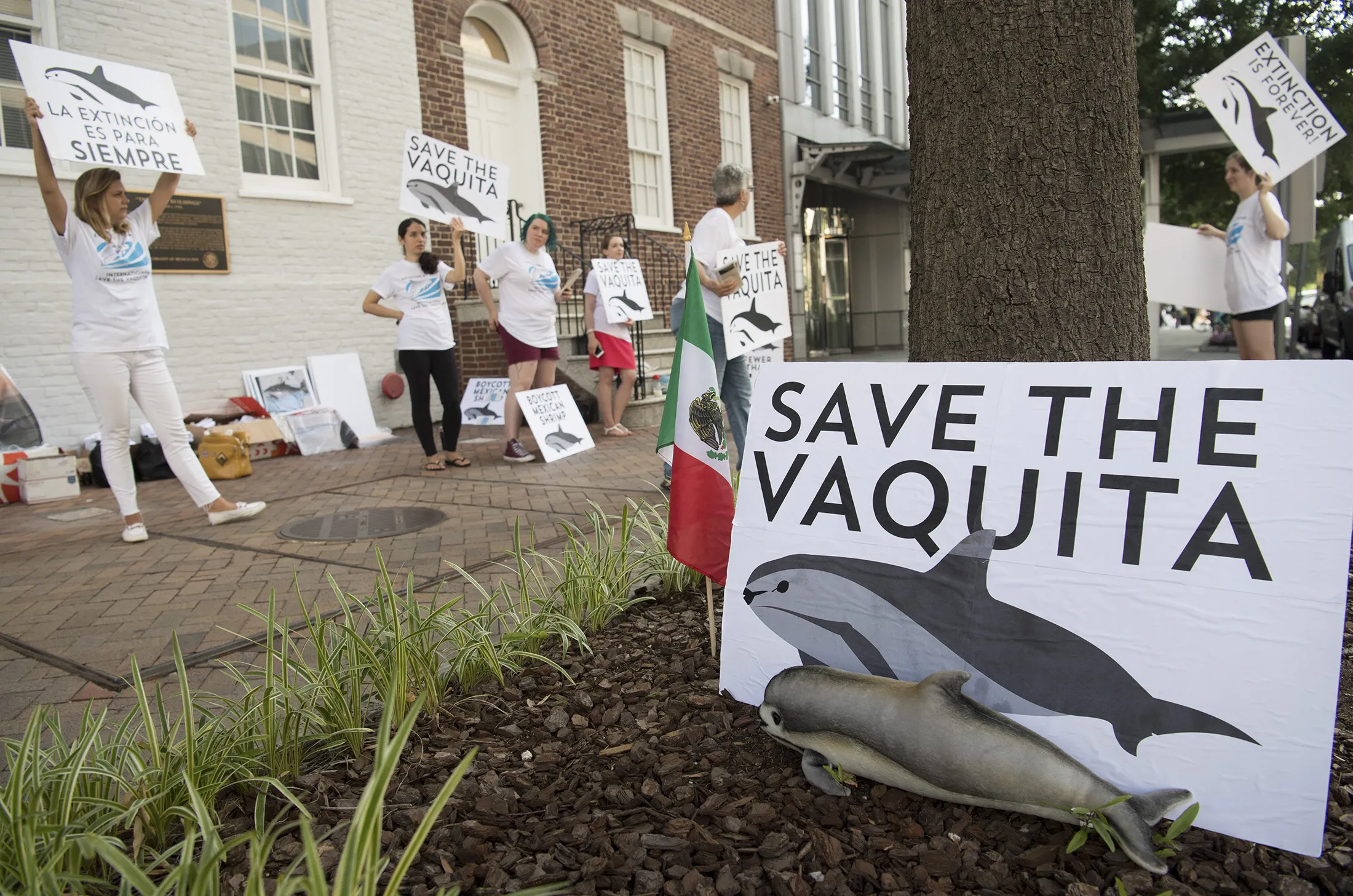 Demonstrators with The Animal Welfare Institute hold a rally&nbsp;outside the Mexican Embassy in Washington, in 2018.