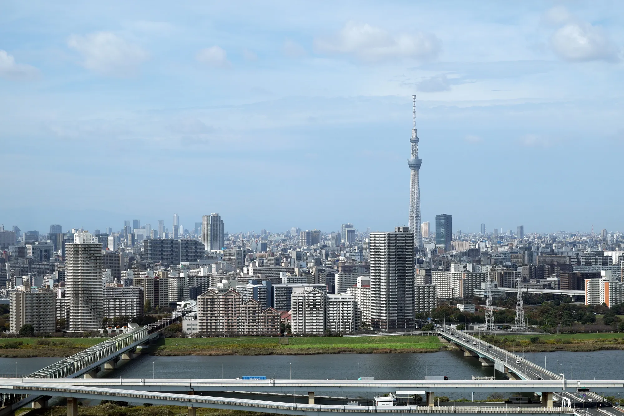 The Tokyo skyline