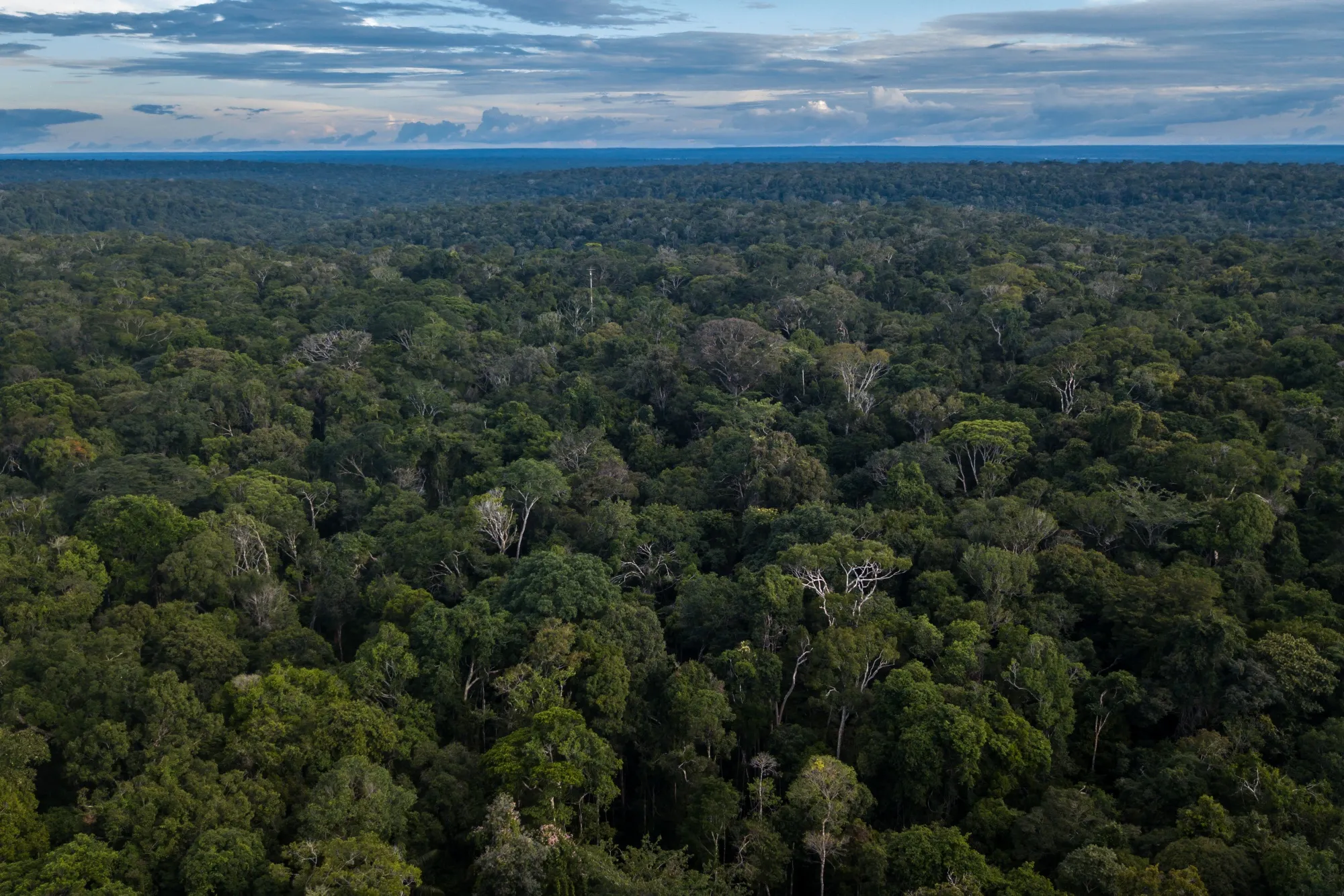 Aerial view of Amazon rainforest&nbsp;