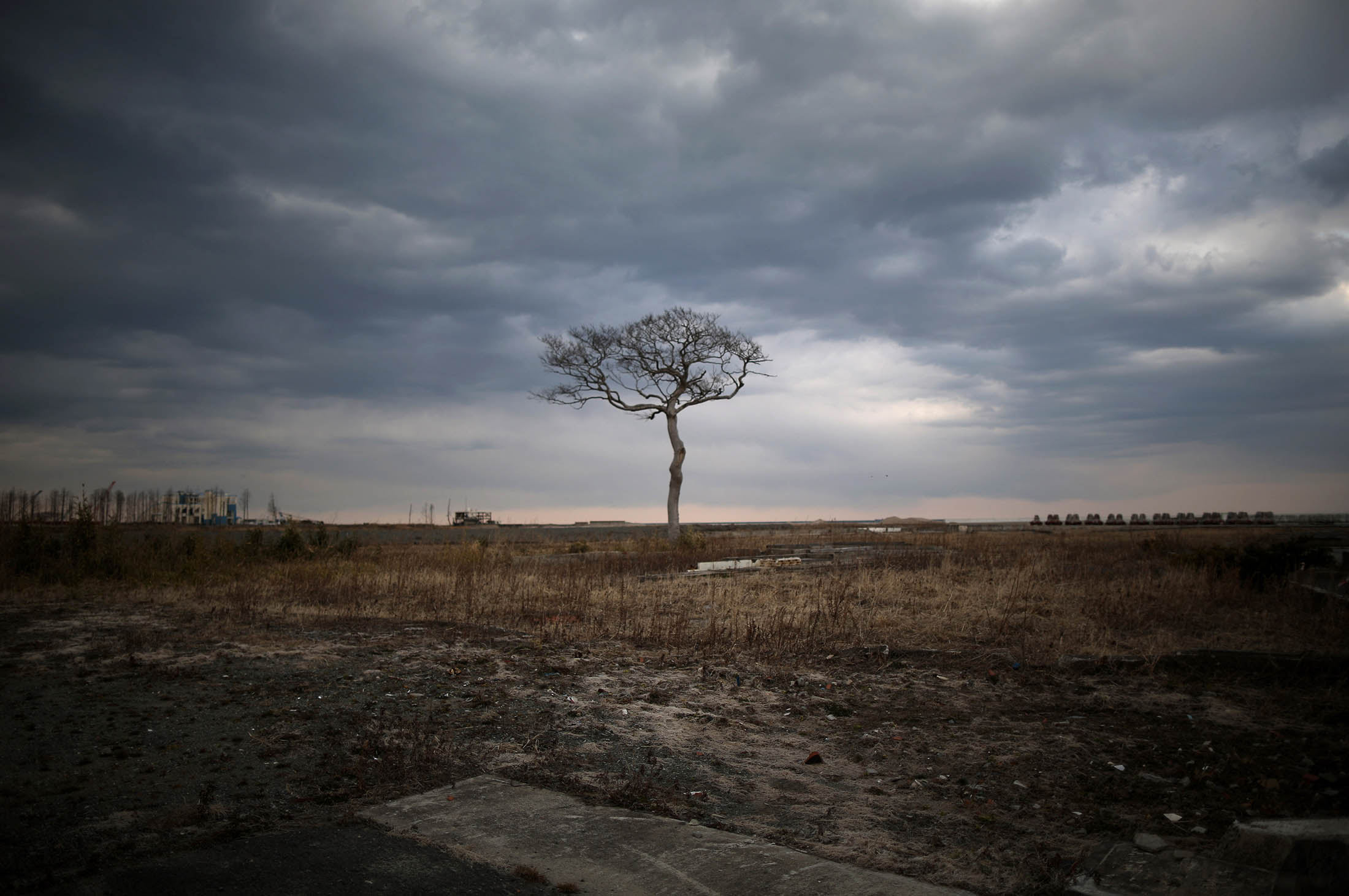 Radioactive Fukushima Wood Becomes Power in German Machine 