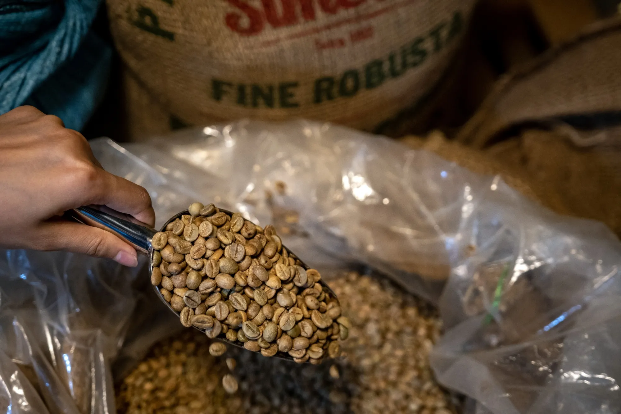 Lack of rain and above-average temperatures are expected to cause the world’s largest coffee producer to harvest less of the robusta bean type than expected.