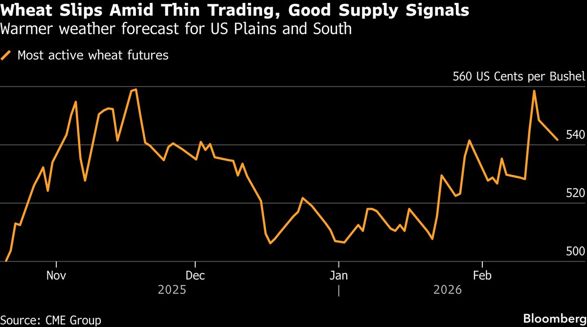 Wheat Declines Amid Thin Trading and Signs of Ample Supply Wheat Declines Amid Thin Trading and Signs of Ample Supply