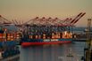 Trump's Global Tariffs Struck Down By US Supreme Court 