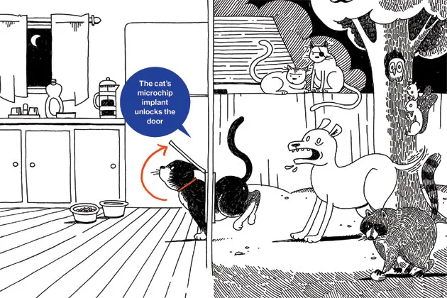 Small to Big: SureFlap, the Pet Door With Microchip Access