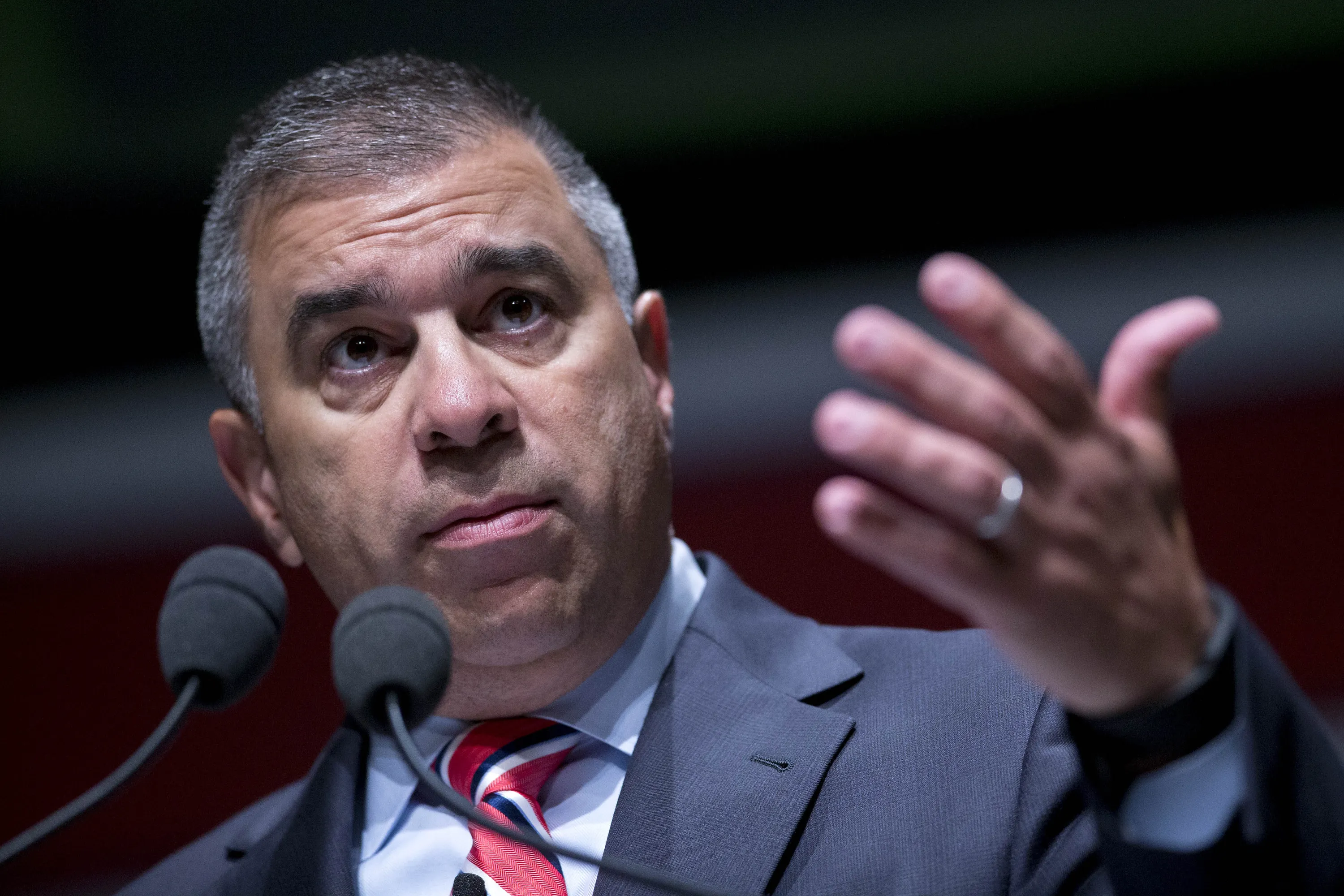 David Bossie