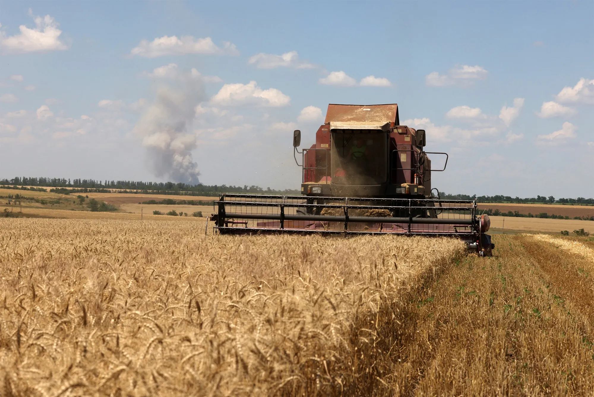 Wheat harvest on a field near Novosofiivka village, Mykolaiv region, Ukraine,&nbsp;on July 4.