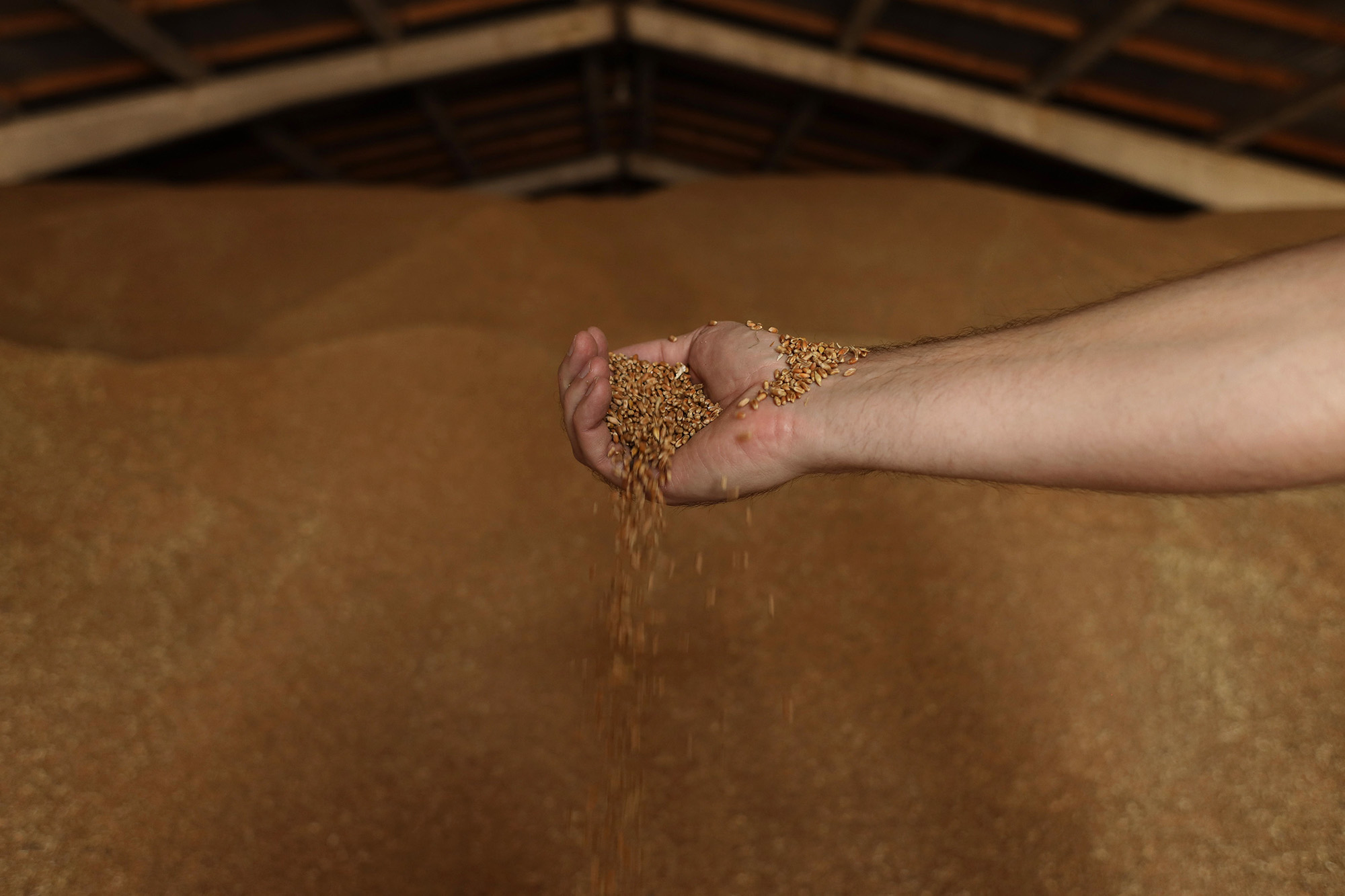 Food Inflation Relief Is Within Sight as Crops and Crude Pull Back -  Bloomberg