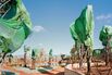 China’s 40-Year, Billion-Tree Project Is a Lesson for the World