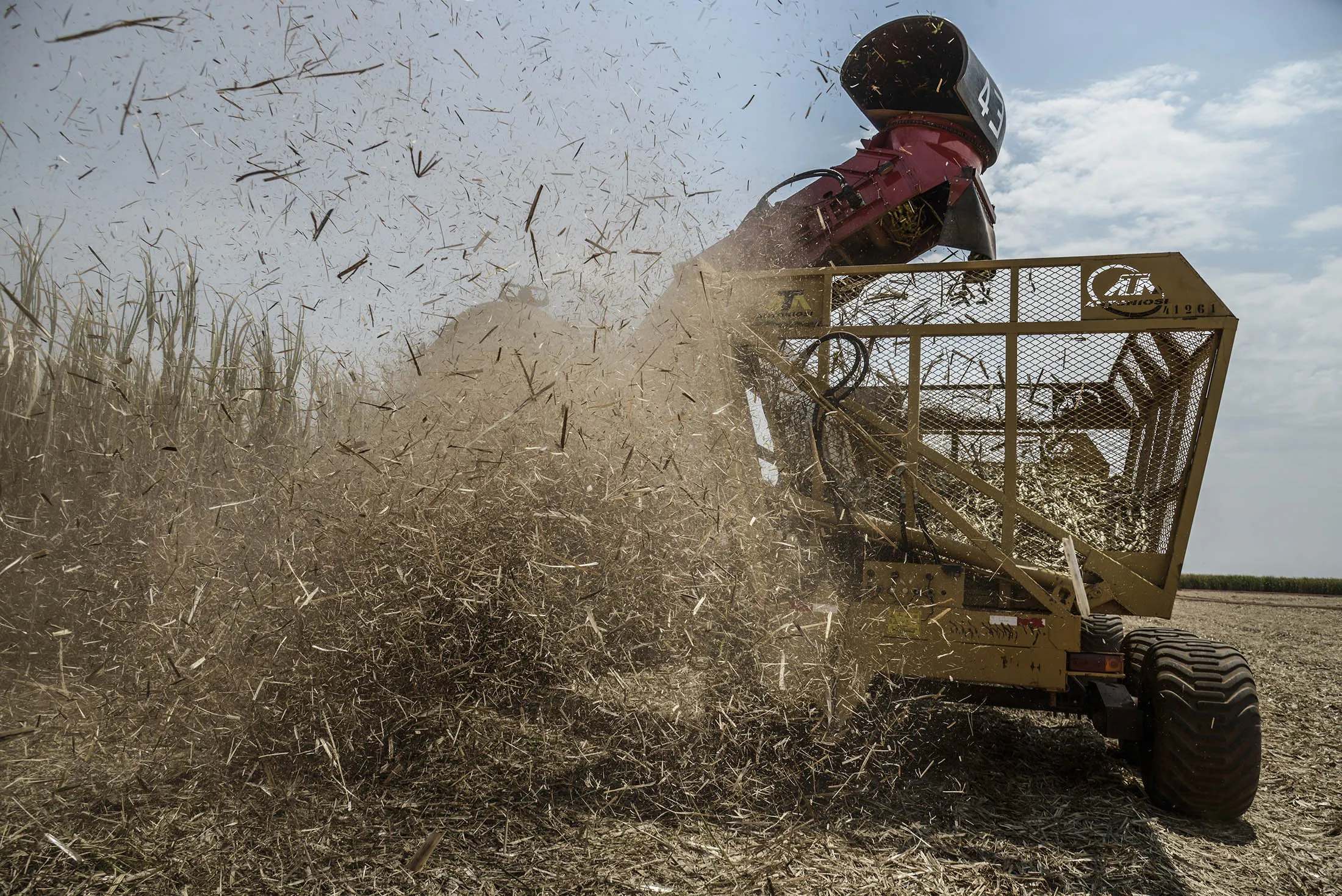 Sugar cane is harvested in Valparaiso, Brazil. Traditionally, drivers choose ethanol to fuel their cars when it’s below 70 percent of the price of gasoline, as the biofuel extracted from sugar cane yields about 30 percent less energy per liter.
