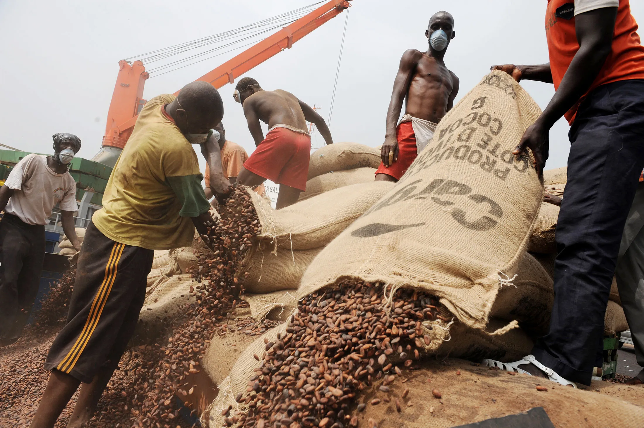 Ivorian workers empty bags of cocoa beans in a container at the Port of Abidjan.
