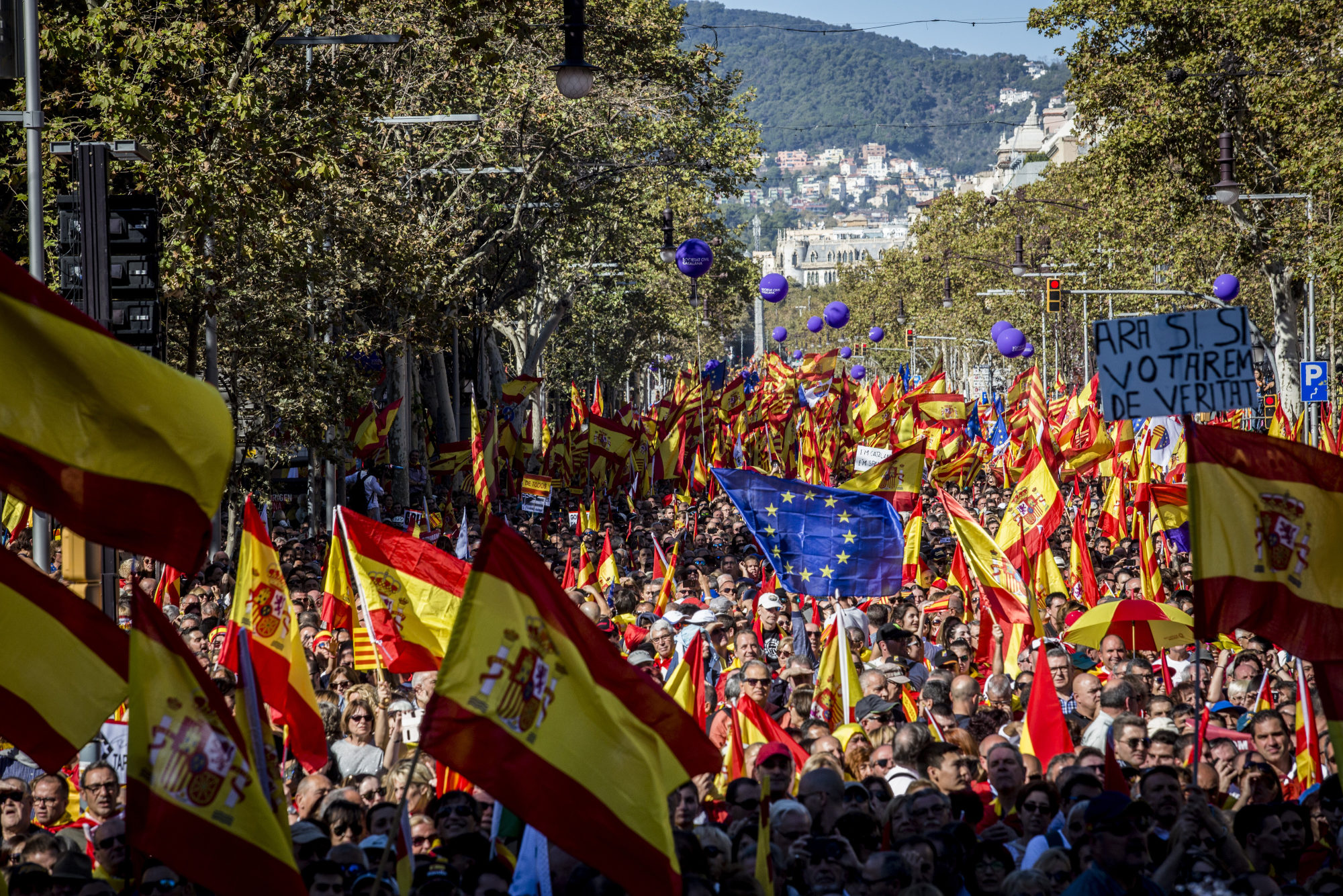 カタルーニャ州 スペイン首相の直接統治拒否 独立反対派はデモ Bloomberg