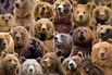 Will the Next Recession Be Made in China?