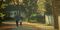 Fastest-growing city in Tennessee: Spring Hill