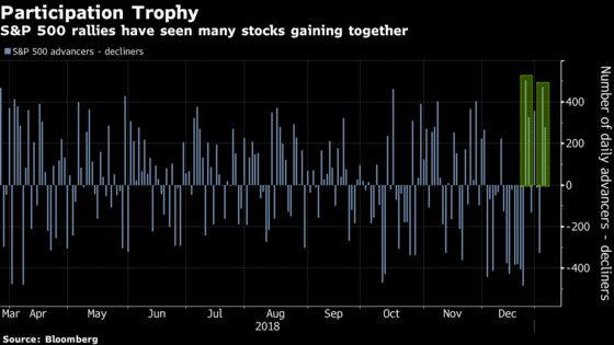 Has the Market Bottomed? Cases For and Against a Continued Rally