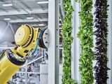 Plenty to Build ‘World’s Largest’ Indoor Vertical Farming Complex