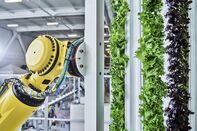 relates to Plenty to Build ‘World’s Largest’ Indoor Vertical Farming Complex
