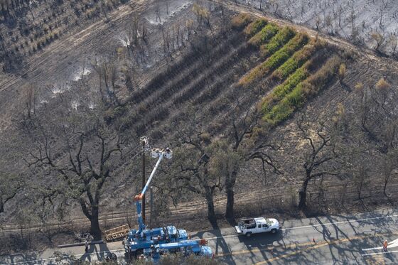 PG&E Took 8 Months to Prune a Tree at Risk of Catching Fire