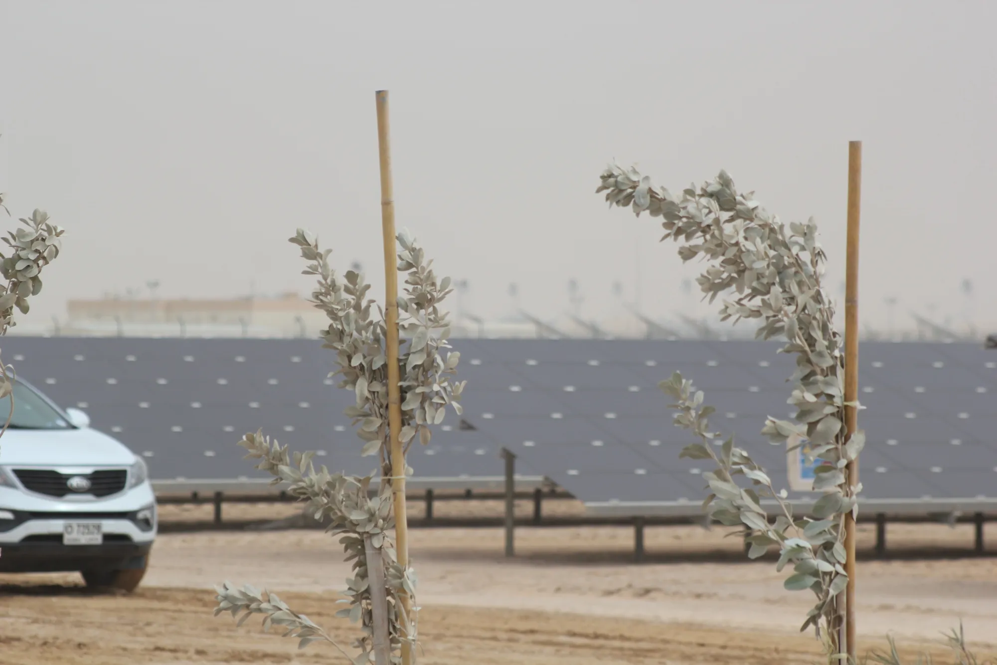 A solar plant in Dubai
