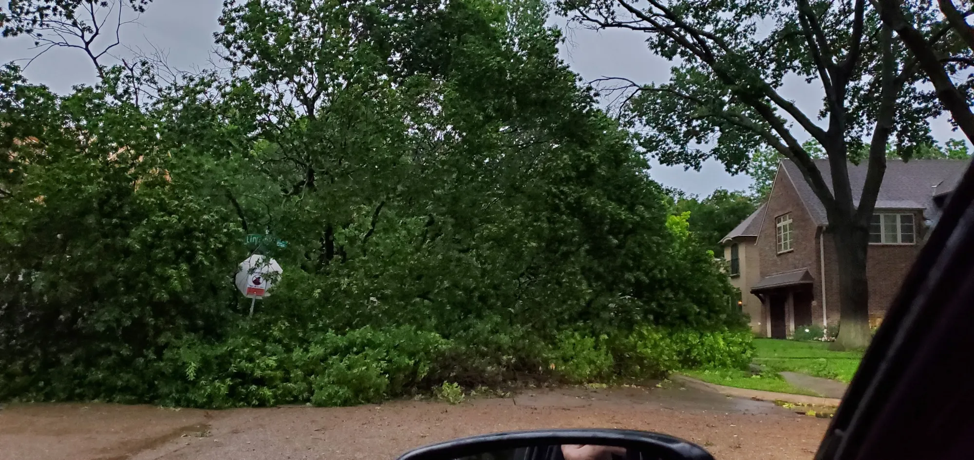 A downed tree blocked a street near Dallas’ Love Field airport early Tuesday.